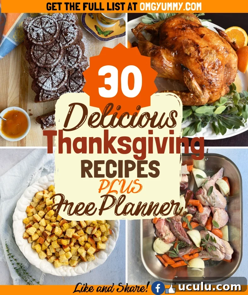Collage of Thanksgiving recipes with a title that says 30 delicious thanksgiving recipes in the center.