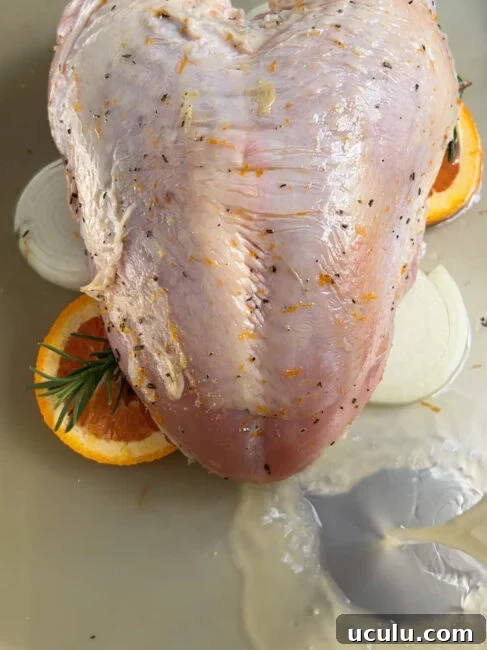 Pouring stock in the roasting pan before putting dry brine turkey breast into oven to bake.