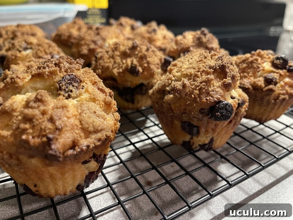 gluten-free chocolate chip muffins 