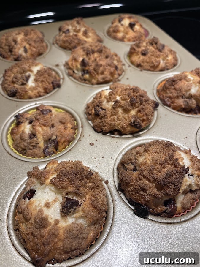 gluten-free chocolate chip muffins in tray