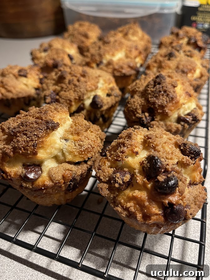 gluten-free chocolate chip muffins with streusel topping
