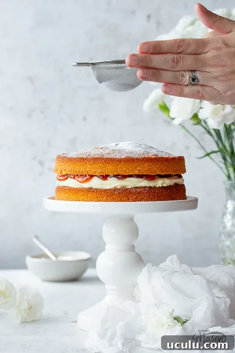 Icing sugar being dusted over an air fryer sponge cake