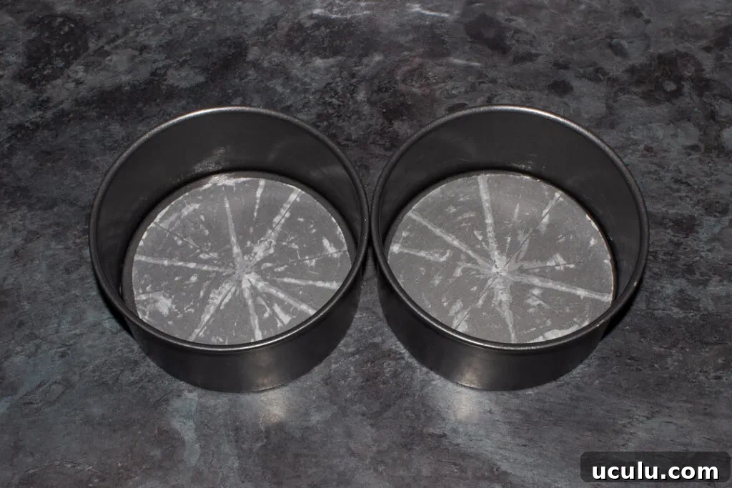 Two lined round cake tins