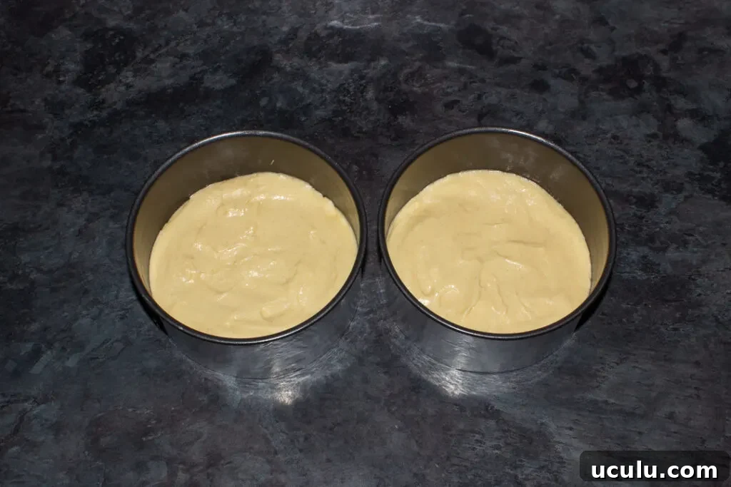 Cake batter divided between 2 round tins