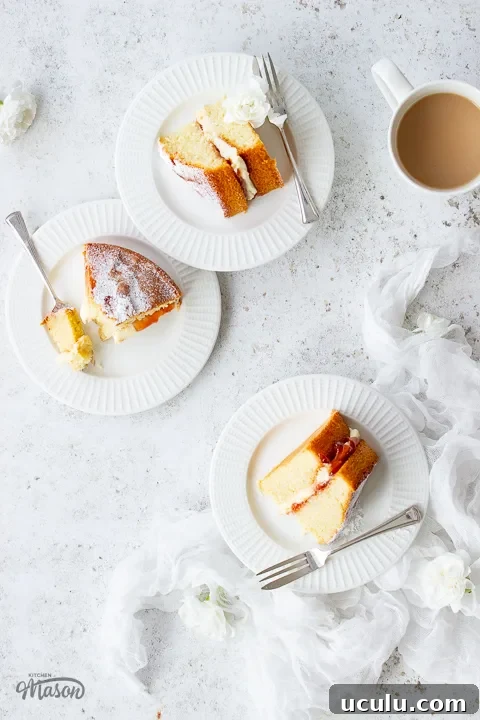Close up of a slice of air fryer sponge cake being held up