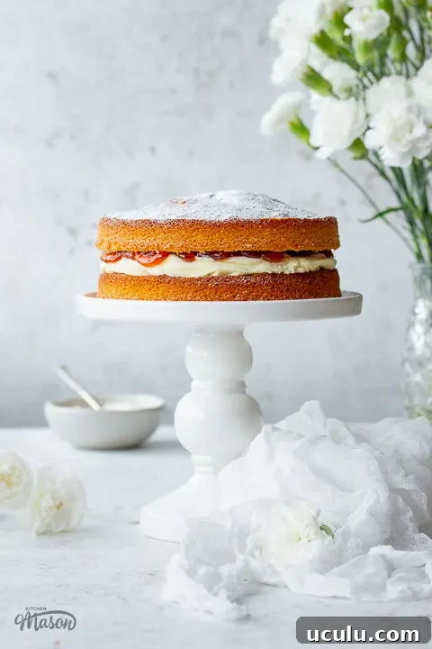 Air fryer cake on a stand