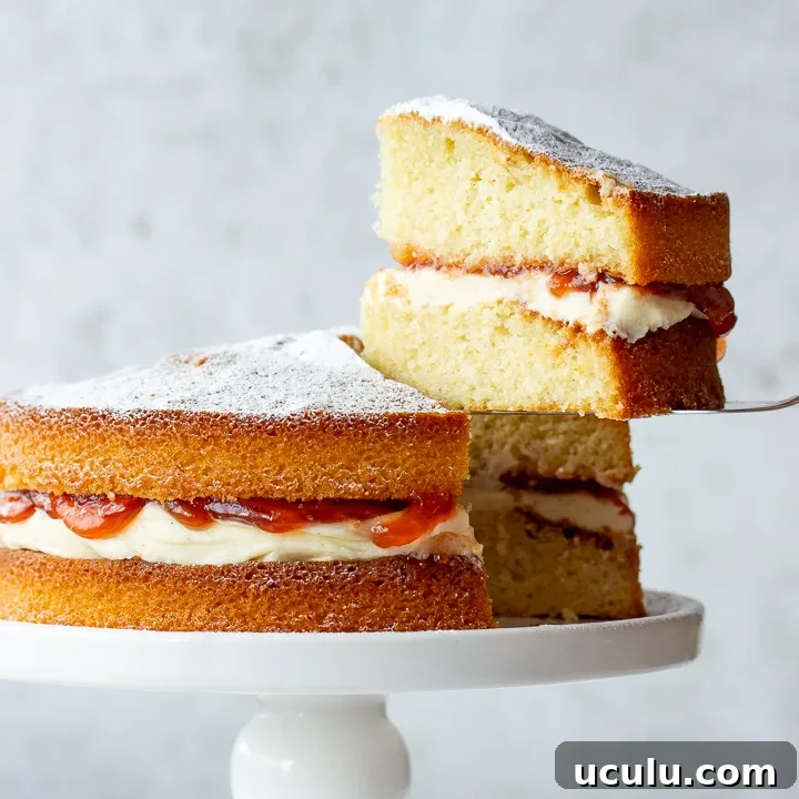 Close up of a slice of air fryer sponge cake being held up. A text overlay says 'Air Fryer Cake'