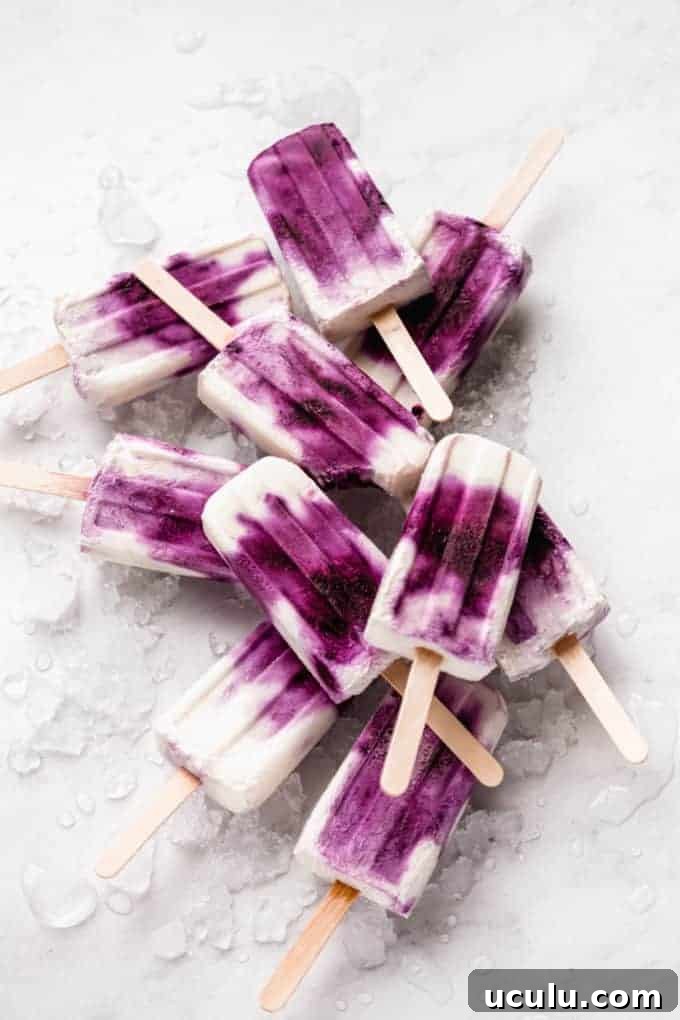 Blueberry Greek Yogurt Popsicles
