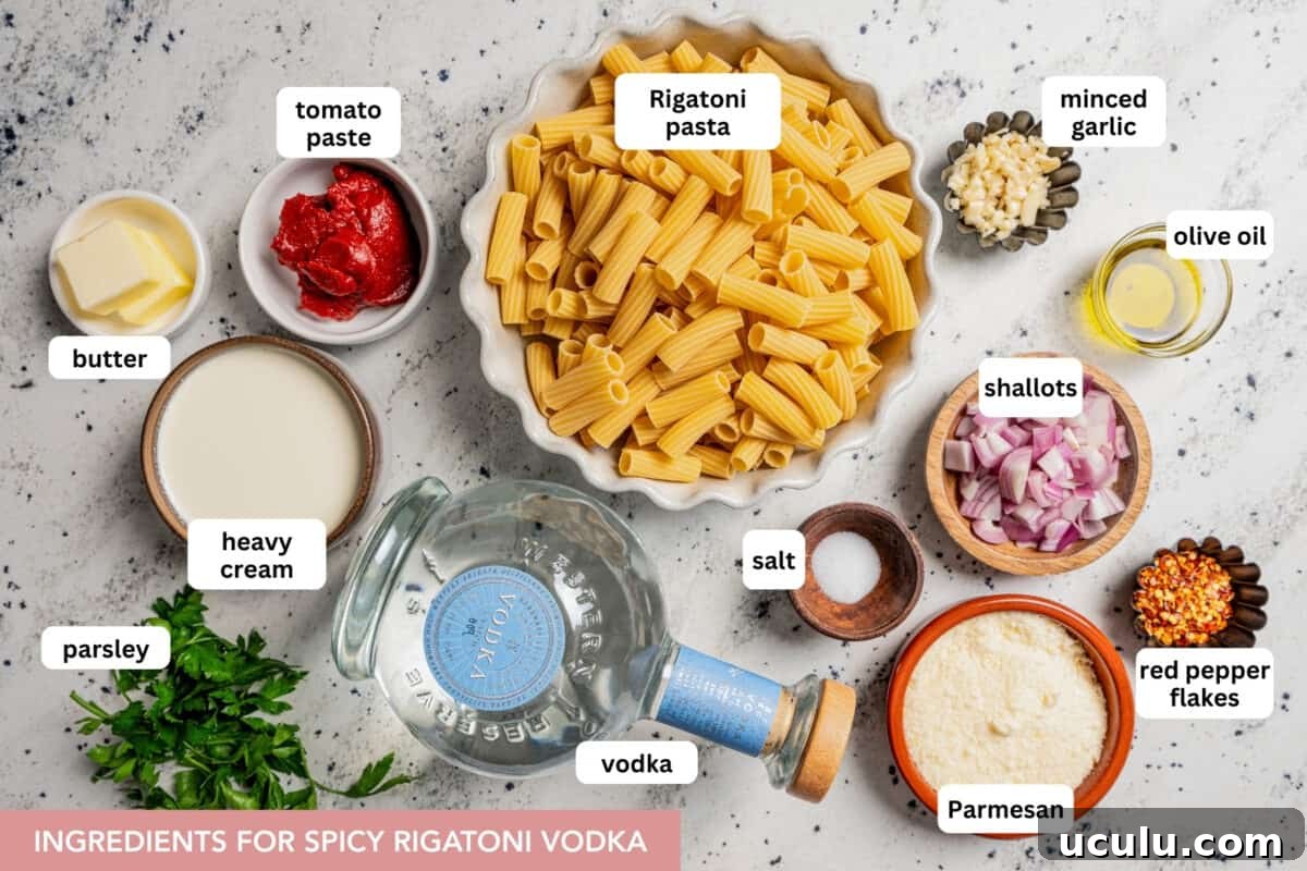 Ingredients for a spicy vodka rigatoni recipe, with text labels placed over each ingredient.