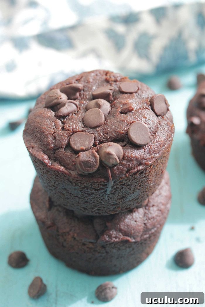 Chocolate Protein Blender Muffins stacked with floral napkin