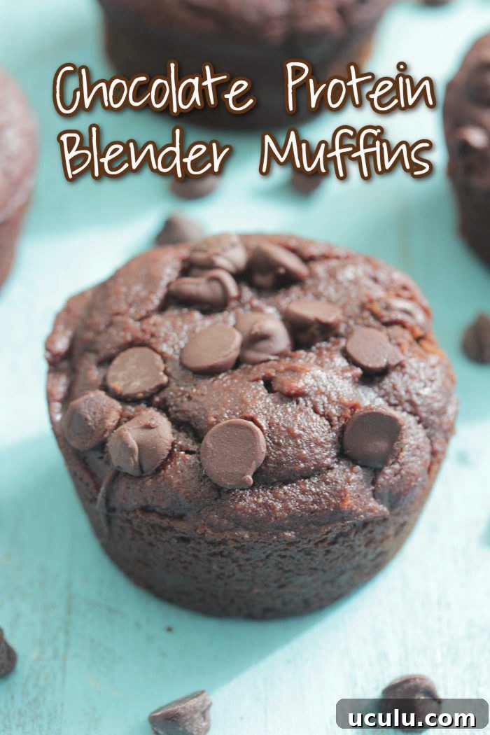 Chocolate Protein Blender Muffins