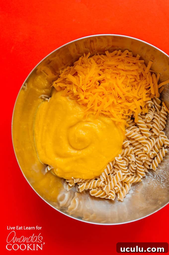 Ingredients for Butternut Squash Mac and Cheese