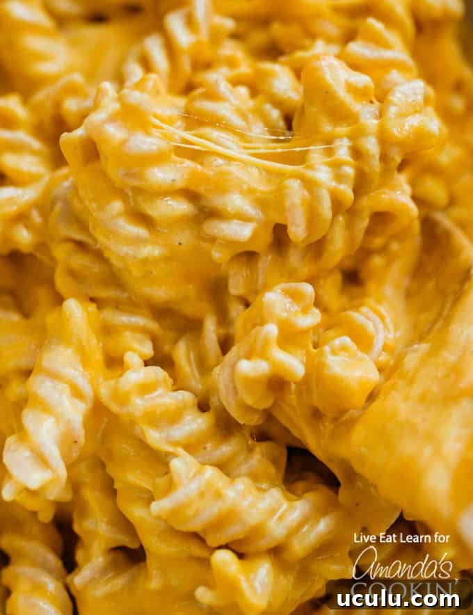 Butternut Squash Mac and Cheese up close