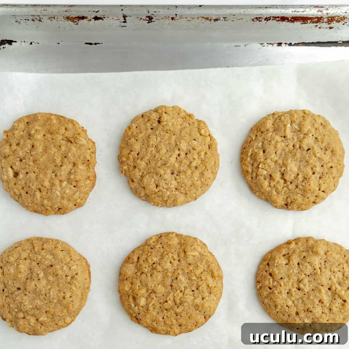 Baked cookies on a parchment paper lined sheet pan.