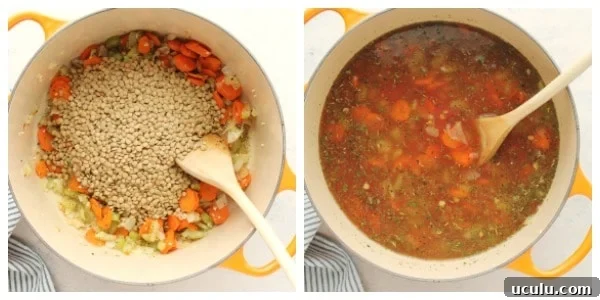 Step 3 and 4 of making lentil soup.