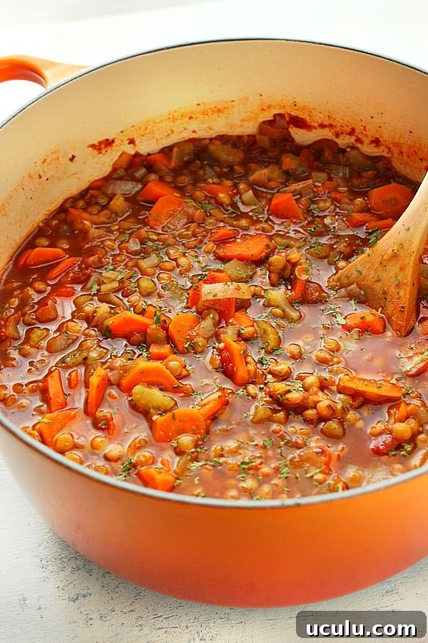 Lentil soup with vegetables and Italian seasoning in Le Creuset pot.