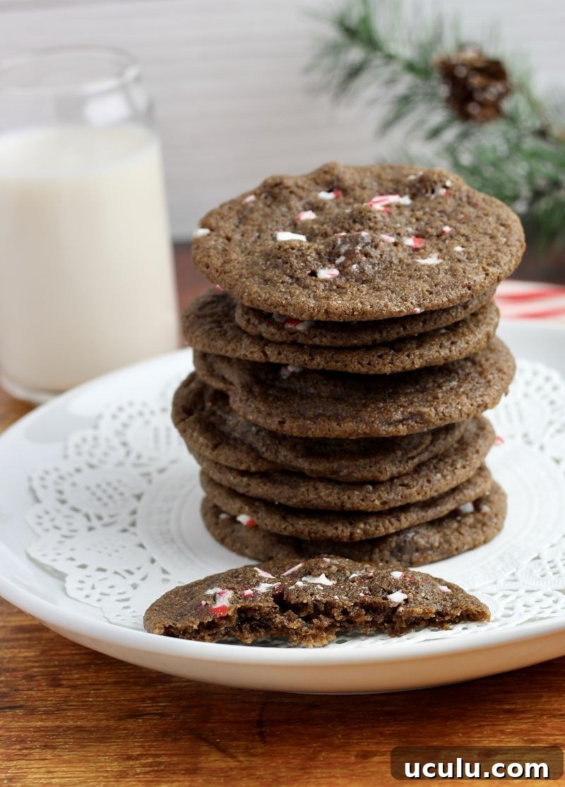 chewy mint chocolate chip peppermint holiday cookies kitchen gone rogue