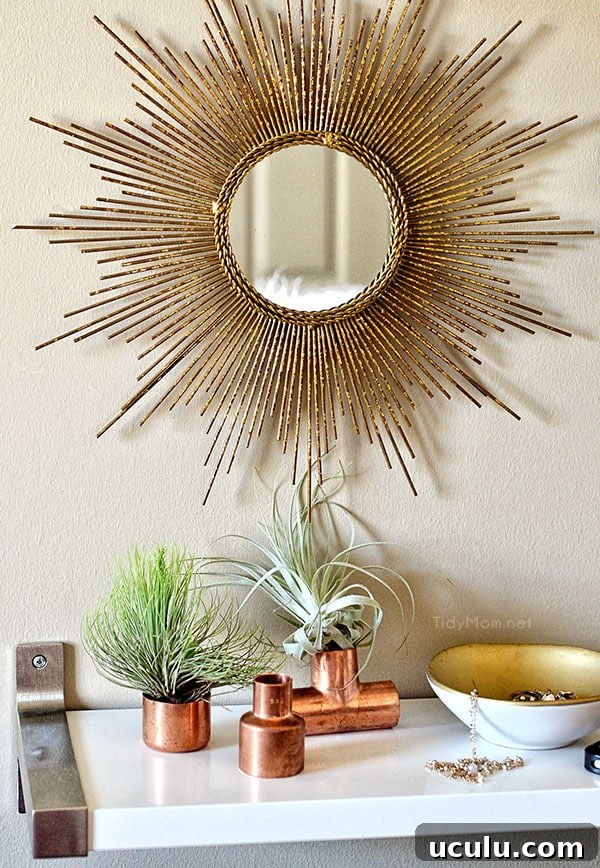 Use copper plumbling supplies to display air plants at TidyMom.net