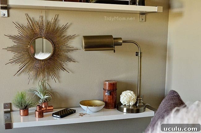 Ikea Ekby Shelves and air plants at TidyMom.net