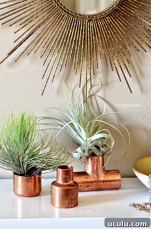 Use copper plumbling supplies to display air plants at TidyMom.net