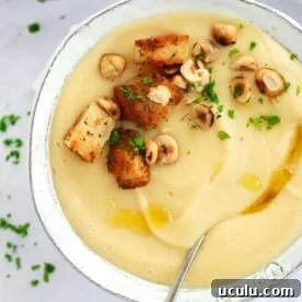 A bowl of creamy parsnip soup.