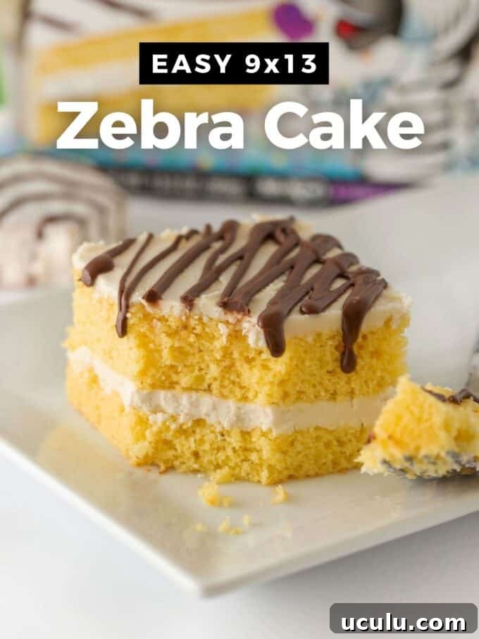 Easy 9x13 Zebra Cake