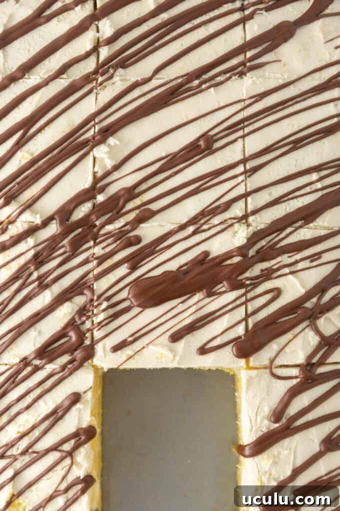 Overhead view of sliced squares of homemade zebra cake, with one square removed