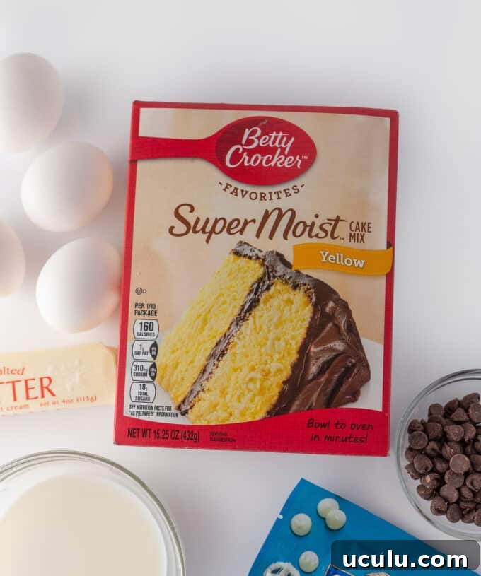 Overhead view of ingredients for homemade zebra cake