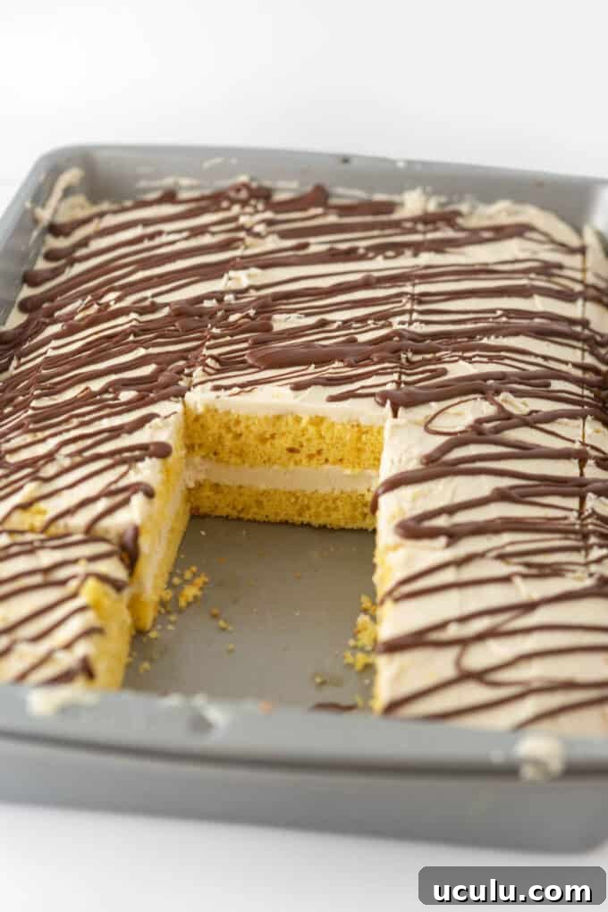 Homemade 9x13 zebra cake in pan with two slices removed to show layered interior