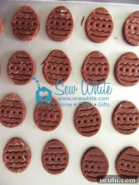 Bourbon biscuits before baking