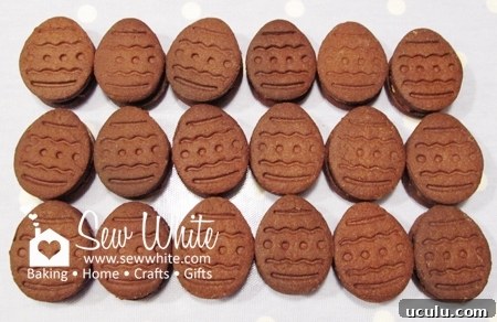 Finished chocolate bourbon biscuits