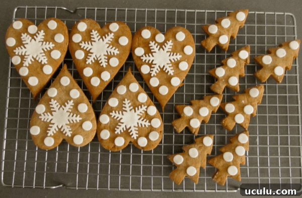 Gingerbread biscuits