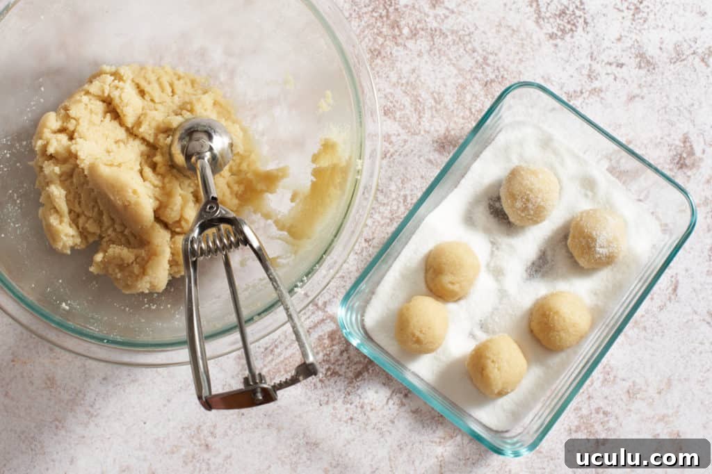 A bowl of cookie dough with a scoop and a glass tray of cookies rolled in sugar.