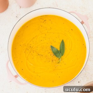 Miso Butternut Squash Soup Veggiekins Blog