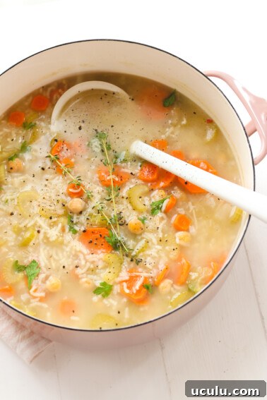 a ladle resting inside a pot of soup