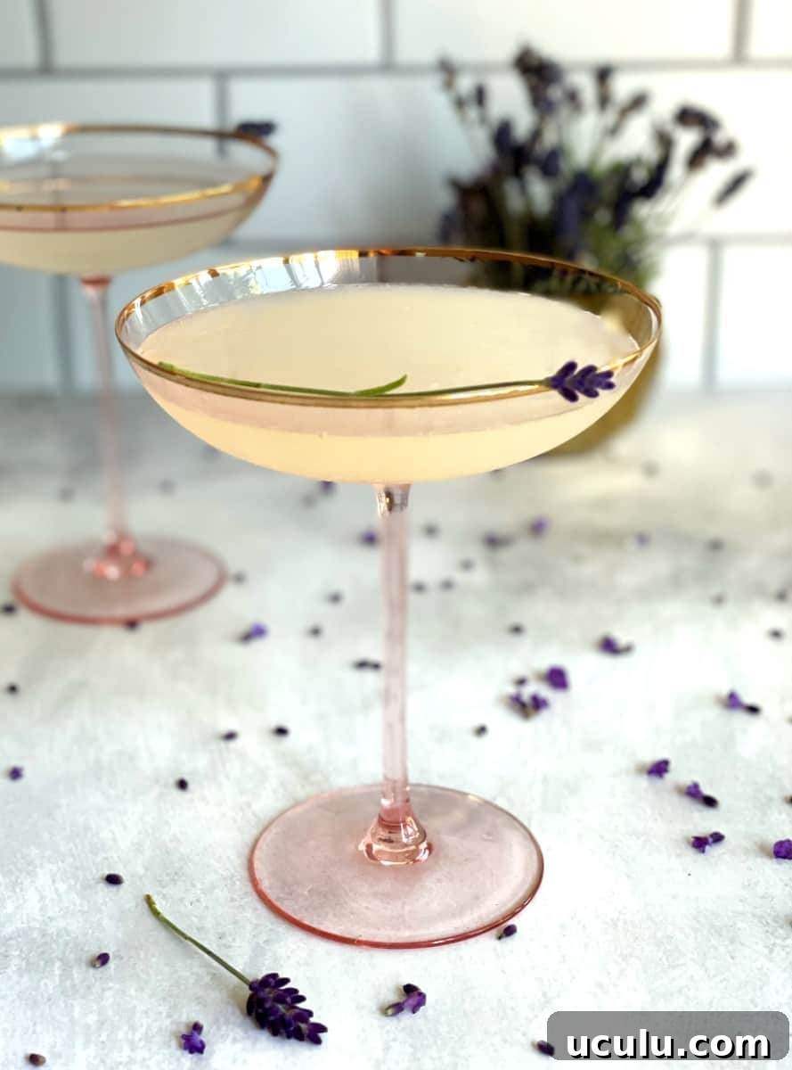 lavender lemon drop with fresh lavender buds.