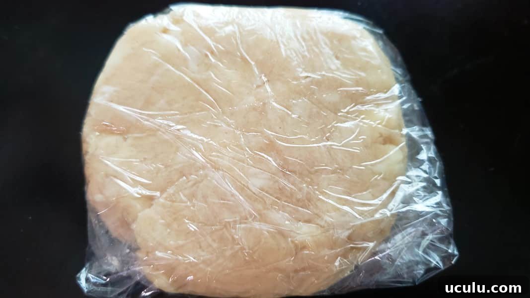 pie crust dough wrapped in plastic wrap.