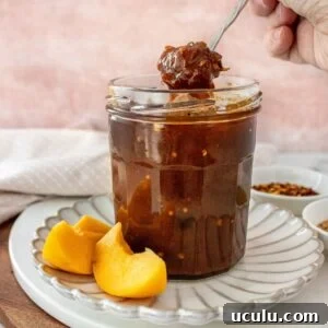 Open jar of Apricot Chutney on a small white plate, with a spoon scooping up some chutney.