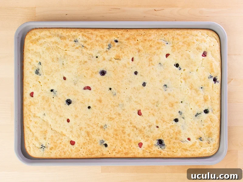 Sheet pan pancake with berries uncut in pan