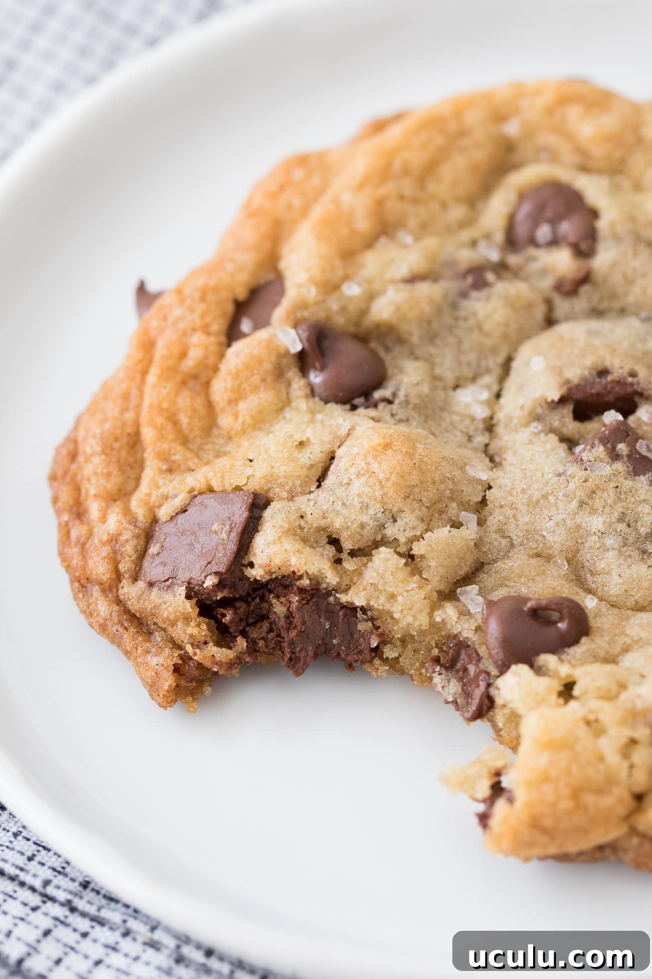 Best Ever Chocolate Chip Cookies