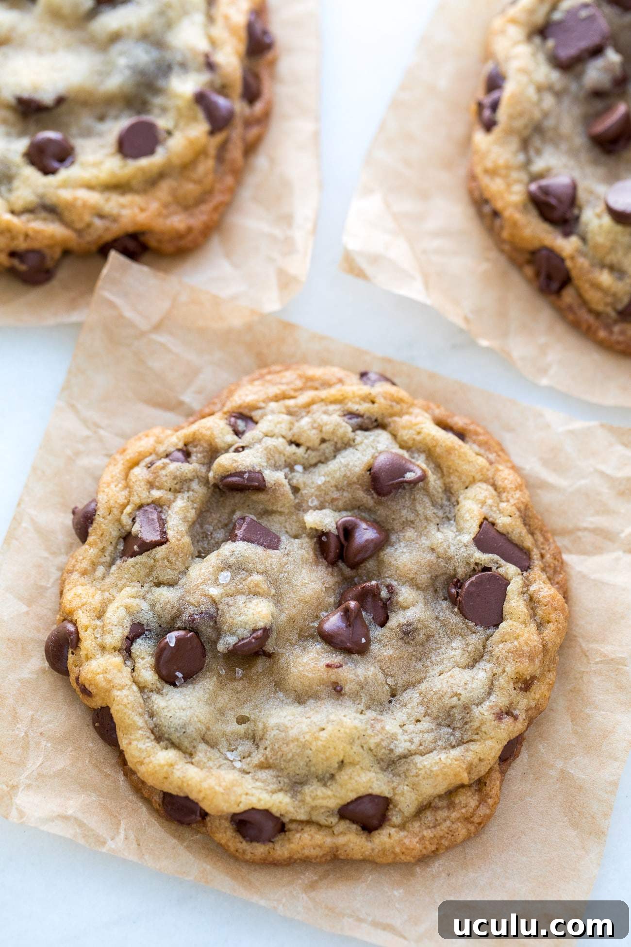 Big, Soft, Chewy Chocolate Chip Cookies with Sea Salt