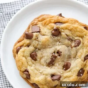Best Chocolate Chip Cookies Recipe