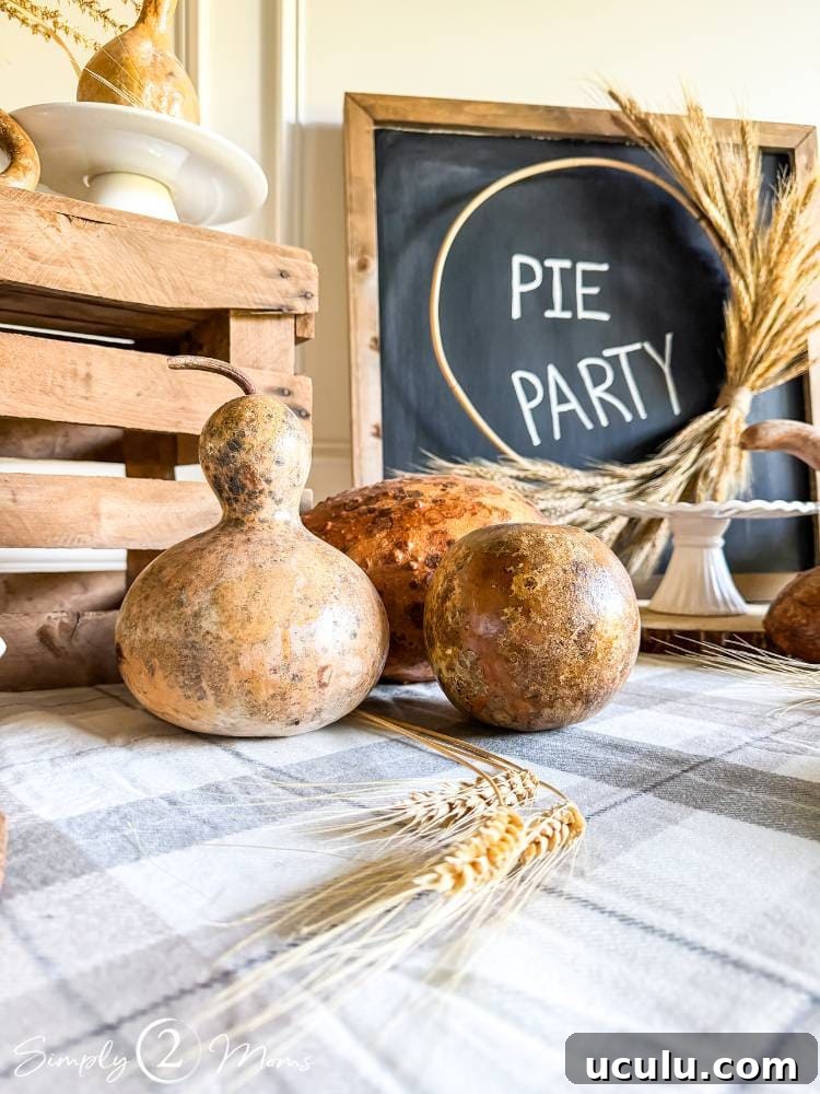 dried gourds on plaid blanket over table next to wood crate and chalkboard