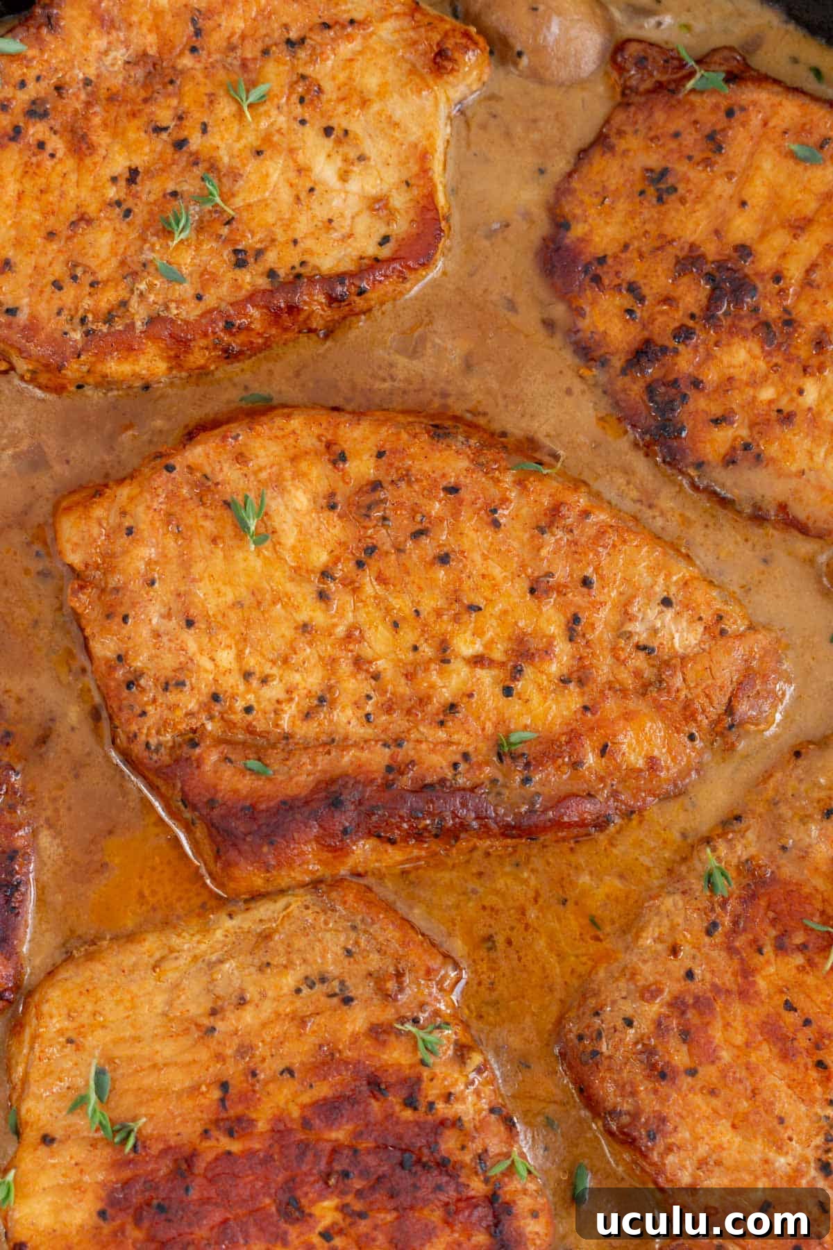Close up view of dutch oven pork chops with sauce.
