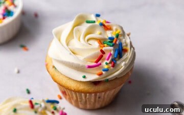 Two funfetti cupcakes with vanilla buttercream frosting and rainbow sprinkles on top sitting next to a small pinch pot of sprinkles and a piping bag filled with frosting.