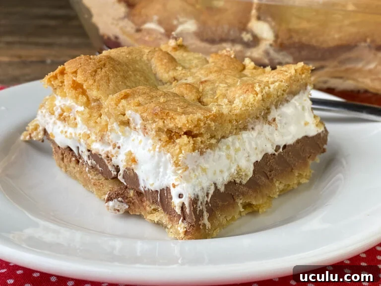 Close up cake that looks like a smores with graham cracker crust on the top and bottom with a thick layer of marshmallow creme resting on chocolate bars in the center.