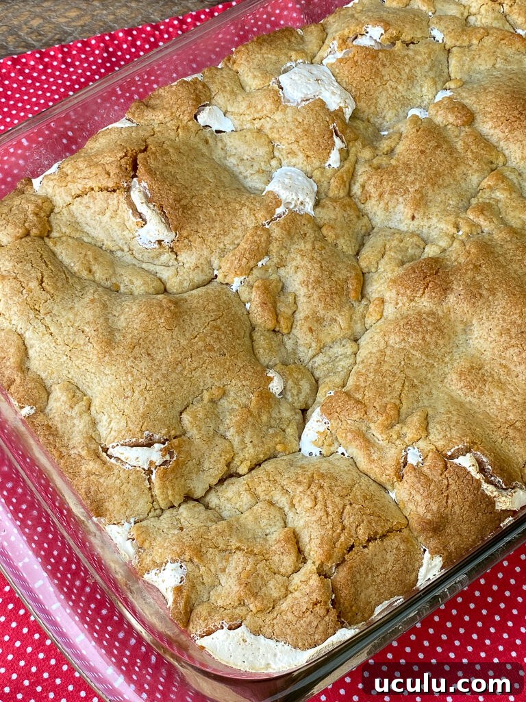 Overhead view of graham cracker crumbs with some marshmallow creme bubbling up in a s'mores cake on a red and white napkin