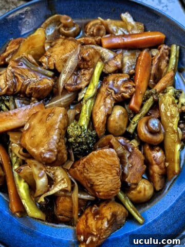 A blue dish of szechucan chicken and vegetables.