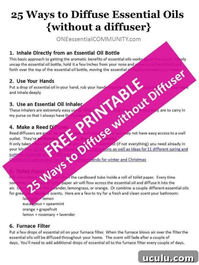 25 ways to diffuse without a diffuser PRINTABLE image