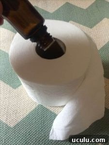 toilet paper roll diffuser